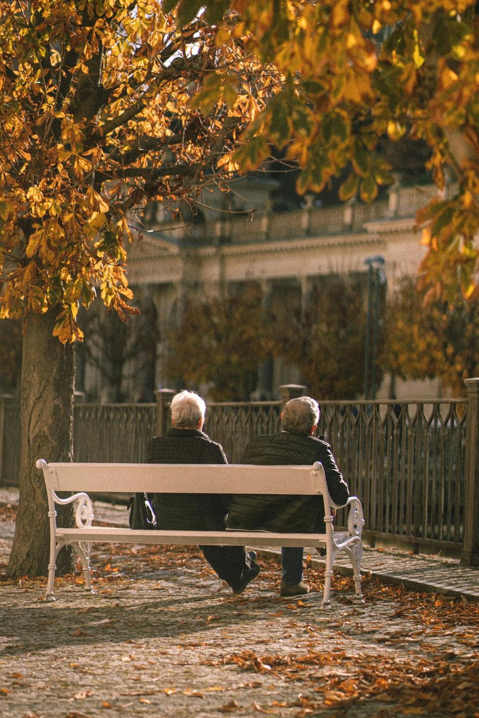 Estate planning case